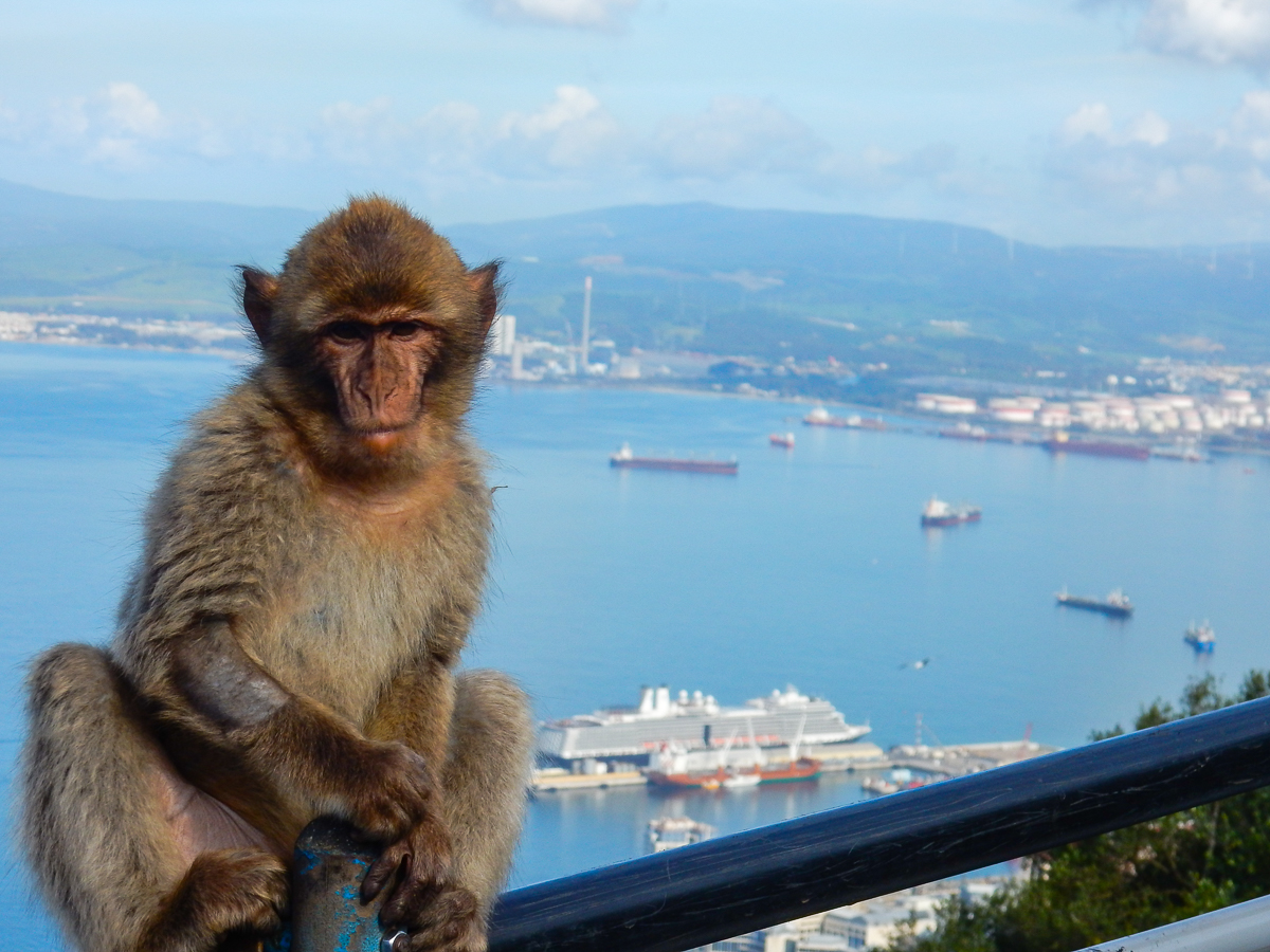 Gibraltar Geschichte und Abenteuer Affenfelsen • Cruise Sisters